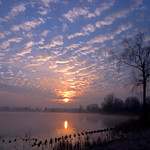 good morning sunshine