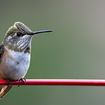 Nature&lsquo;s Beauty