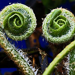 Do you come here often?!&hearts;!!&hearts;&hearts;?&hearts;!&hearts;