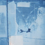 Cyanotype Abstract Documentation : Organism/Person/Environment