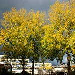 Bright sunlight and dramatic rainclouds over the city