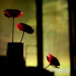 three days, three nights