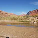 Paria Canyon 499
