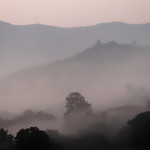 PA161460 Fading reality ...