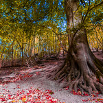Hubbards hills Louth