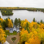 Our house ... is a very, very fine house' (two dogs in the yard - not cats)