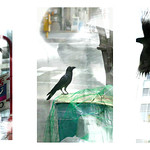 S&eacute;rie du 31 05 18 : early morning, Tokyo, 3eme jour