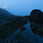 Light in the Murky Blue Hour