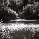 Faeries dancing on the water