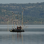 " tu les as vu toi les cormorans? ..."Have you seen the cormorants?"