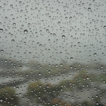 Rain and fog all day!