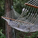 Hammock