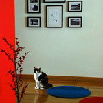 corners of my home: our framed wall