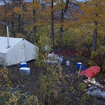 First Moose Hunt, Bulls Only!