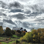 Drama in the Country