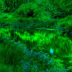 Green Lagoon