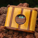 Chamaeleon Panorama 6x6/2 Serial #112