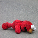 roadkill
