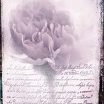 Hold on to what brought you here ...