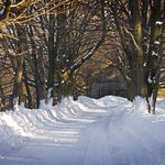 Windows XP Revisited