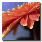 A mysterious, awesome, indescribably magnificent world