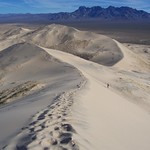 Kelso dunes, Mojave NP-2