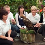 Glenveagh Eagle at Donegal Live 2011