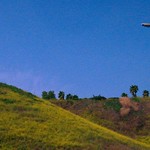 california landscape
