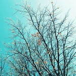 ~God didn&rsquo;t promise days without pain, laughter without sorrow, sun without rain, but He did promise strength for the day, comfort for tears, and light for the way~