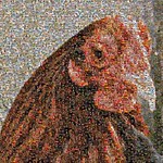 Zoom in on one face (image 2 of 3)