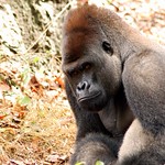 I love having my moment of eye contact