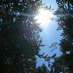 20080220 powerful morning sun