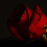 through the darkness