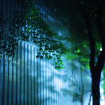 2129/1804 [x w00 y02]