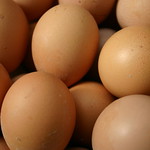 Eggs
