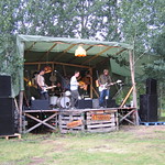 En ljummen i gr&auml;set