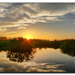 Sunrise in the Everglades