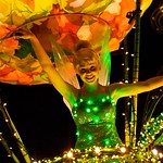 Disneyland Aug 2009 - Disney's Electrical Parade