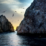 Sea of Cort&eacute;s