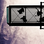 ITALY (Sudtirol) - Merano "Castel Trauttmansdorff and botanic garden"