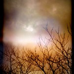 Seasons come and go...