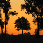 belleview pre dawn 3