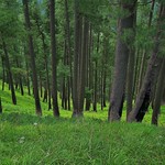 Shogran in the Kaghan Valley, NWFP, Pakistan - June 2009