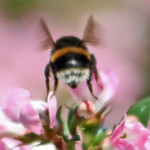 Does My Bum Look Big In This?