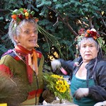 Mainz, Markt, Blumenstand (market, flower stall)