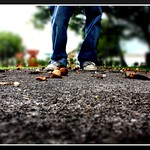 060/365 The World Is Not A Playground (Explore)