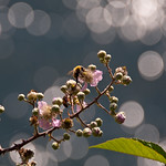 Ristorante...... vista lago