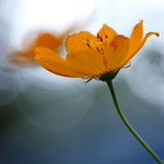 I... Me... Myself...!!!!