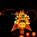 Magical Lantern Festival