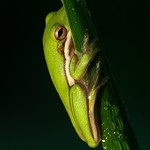 "Please, just take the photo and leave me alone".